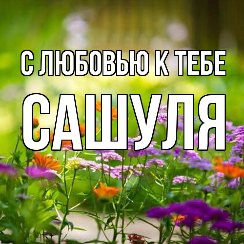 Открытка  с именем. Сашуля, С любовью к тебе  