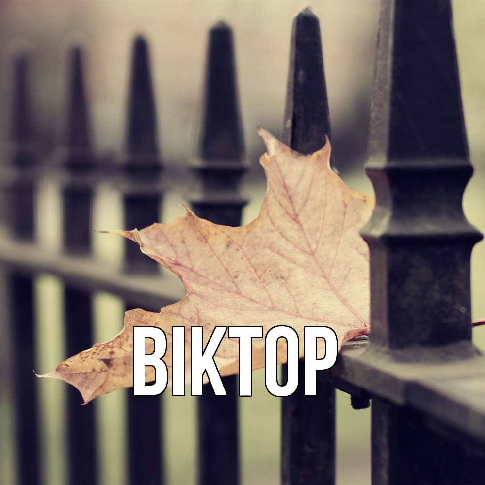 Открытка  с именем. Віктор, Главная  