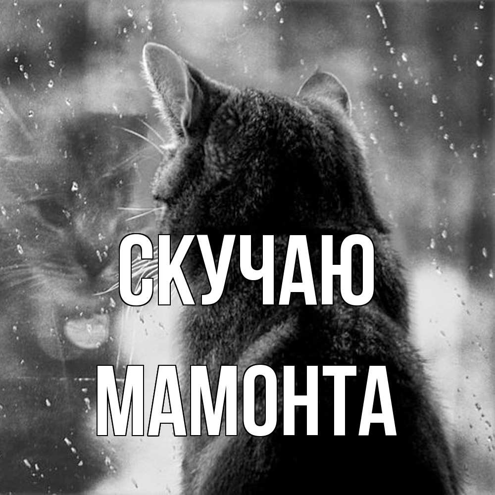 Открытка  с именем. МАМОНТА, Скучаю  