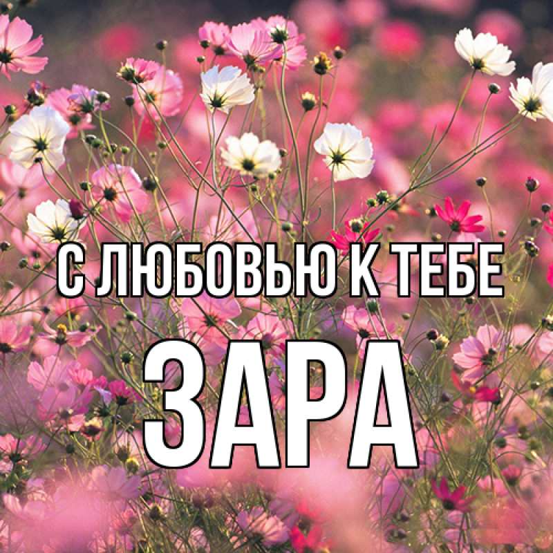 Картинка С любовью к тебе, Зара