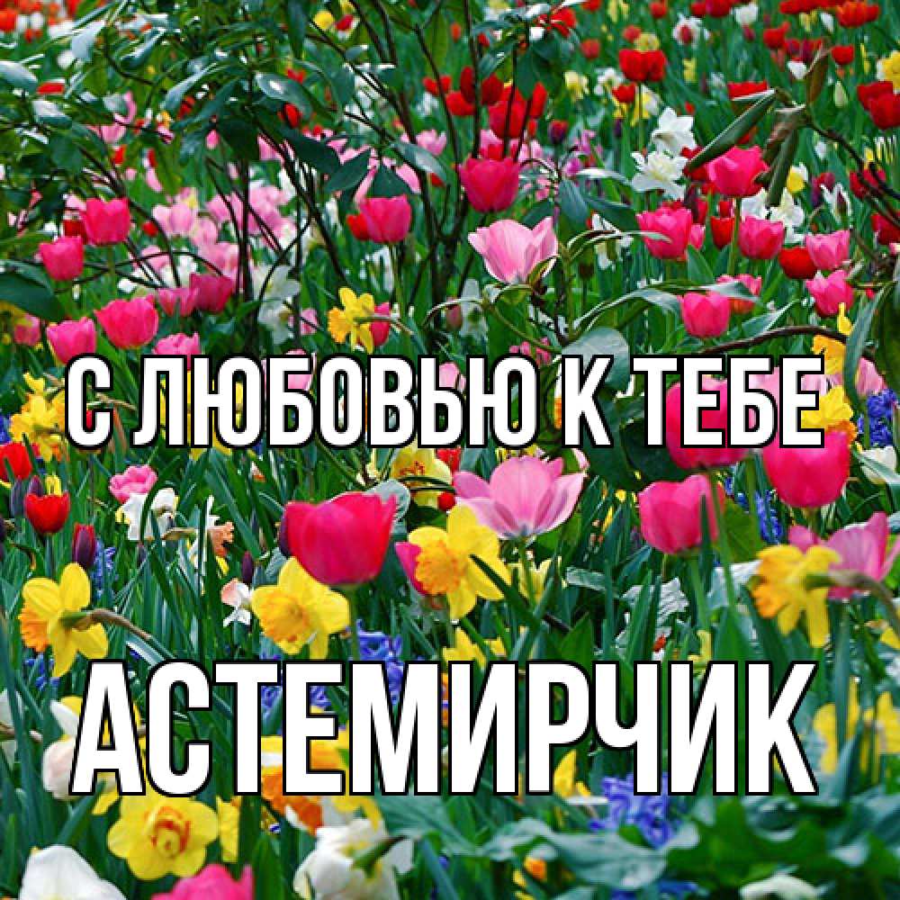 Открытка  с именем. Астемирчик, С любовью к тебе  