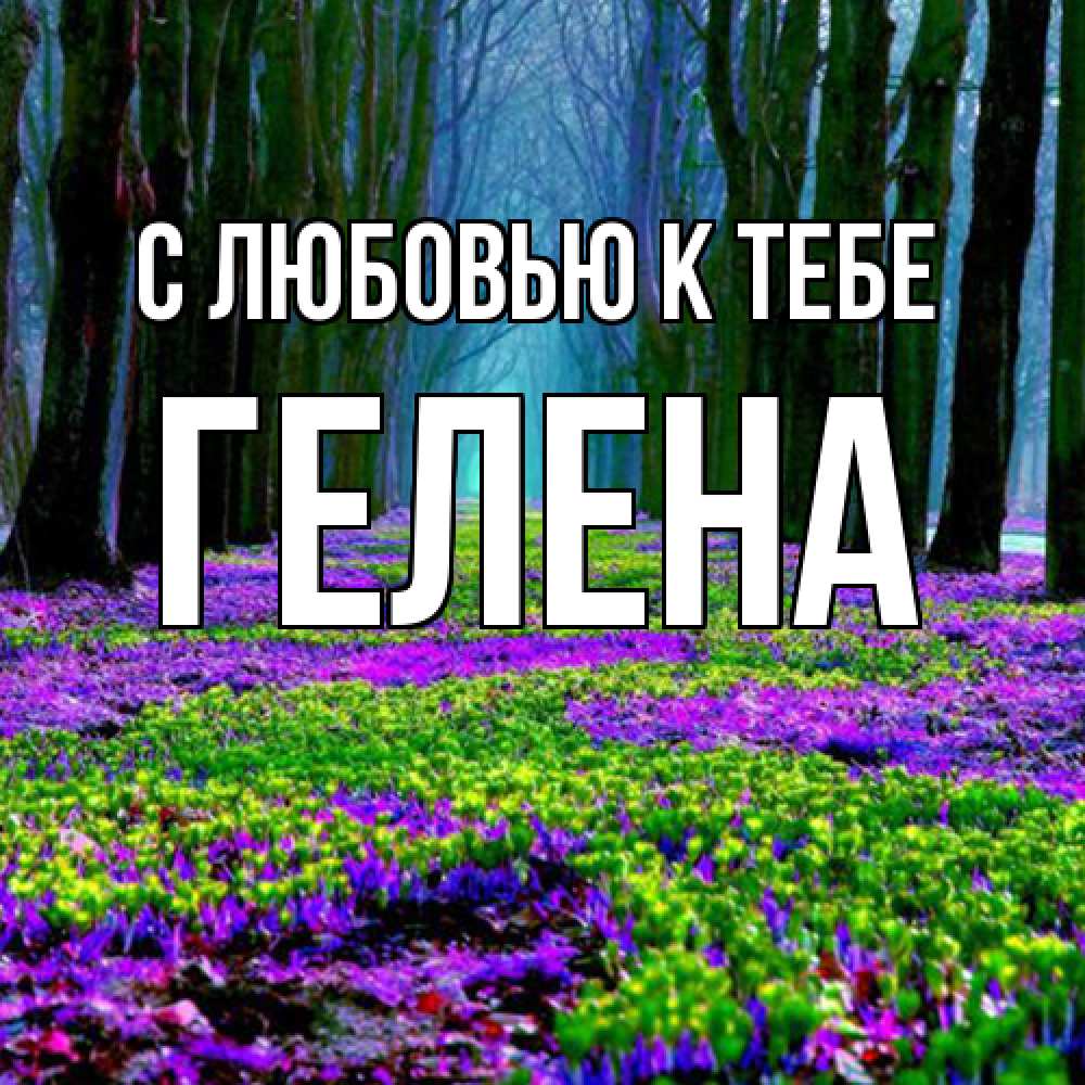 Открытка  с именем. Гелена, С любовью к тебе  