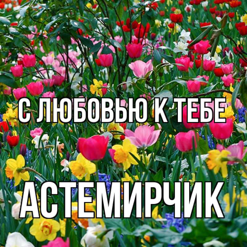 Картинка С любовью к тебе, Астемирчик