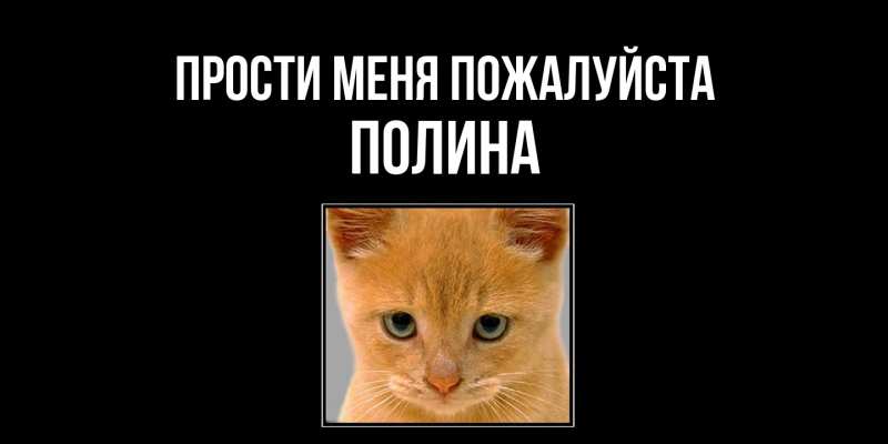 Картинка Прости меня пожалуйста, полина