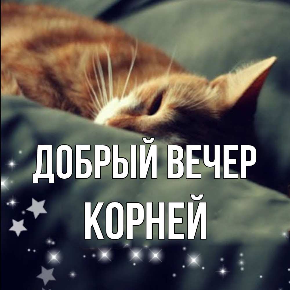 Открытка  с именем. Корней, Добрый вечер  