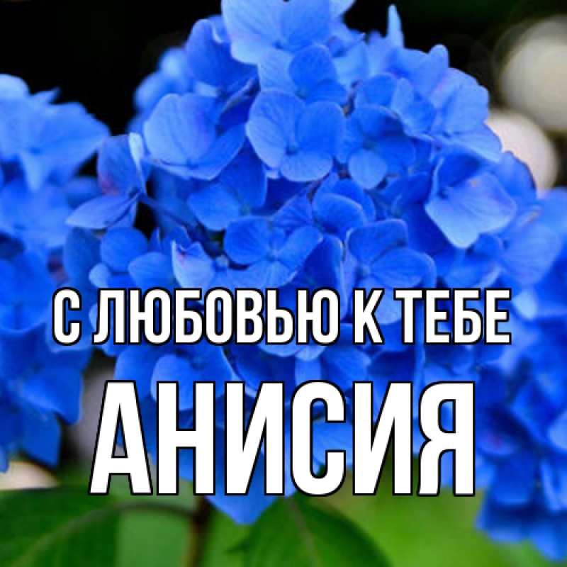 Картинка С любовью к тебе, Анисия