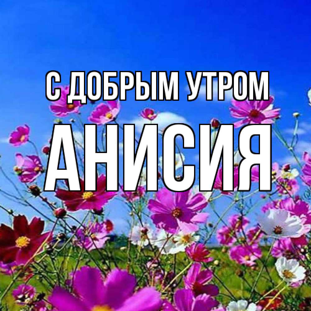 Открытка  с именем. Анисия, С добрым утром  