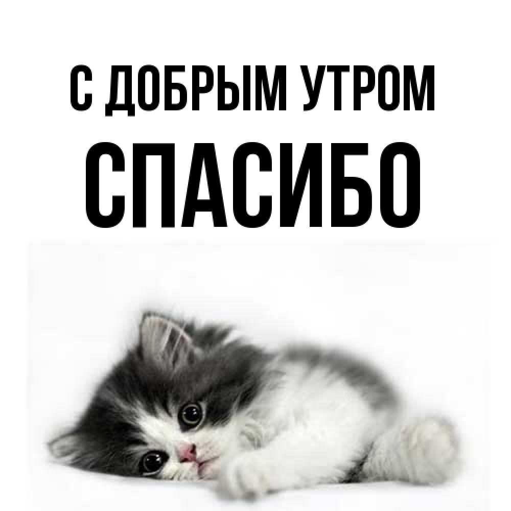 Открытка  с именем. СПАСИБО, С добрым утром  