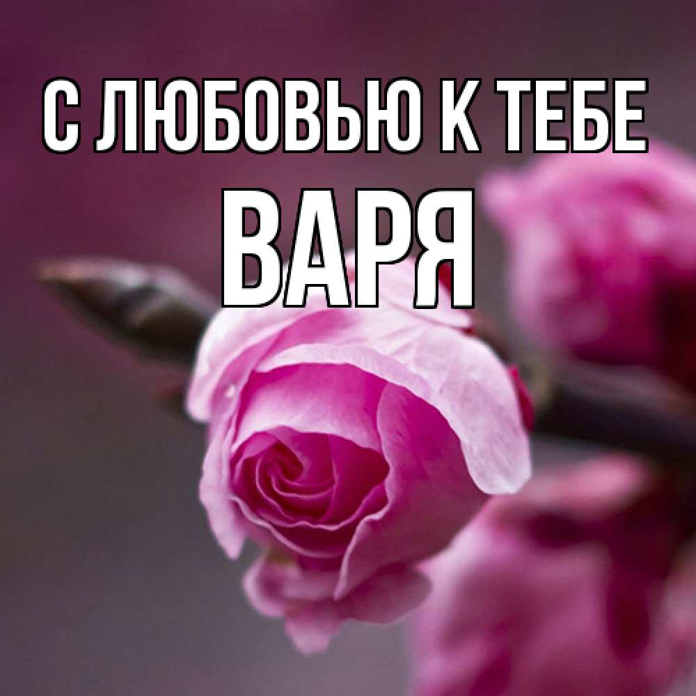 Открытка  с именем. варя, С любовью к тебе  