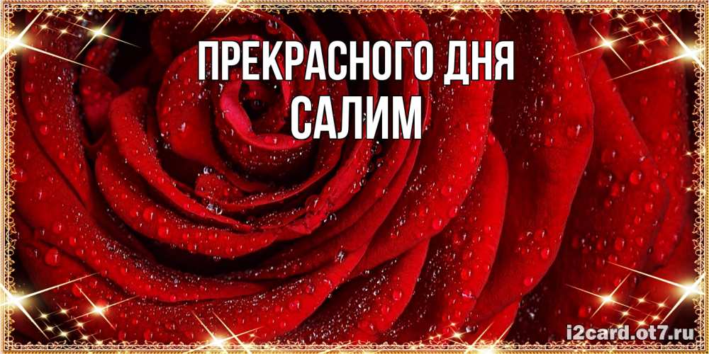 Открытка  с именем. Салим, Прекрасного дня  