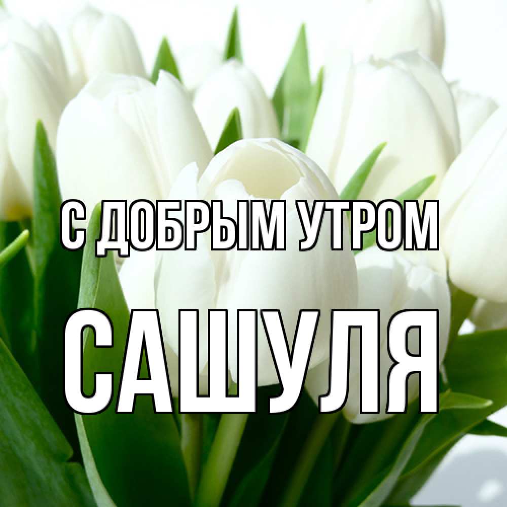 Открытка  с именем. Сашуля, С добрым утром  