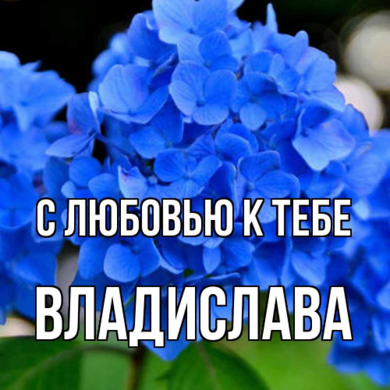 Картинка С любовью к тебе, Владислава