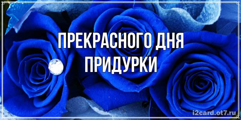 Картинка Прекрасного дня, Придурки