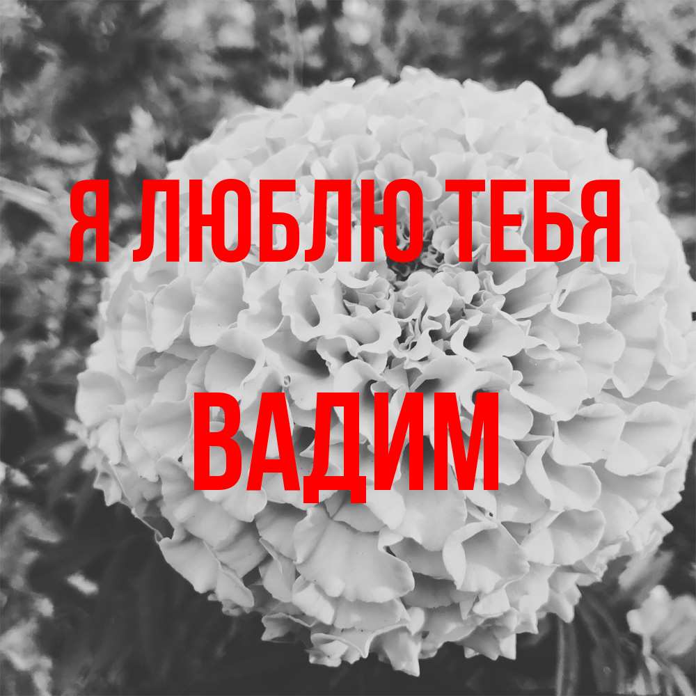 Открытка  с именем. Вадим, Я люблю тебя  