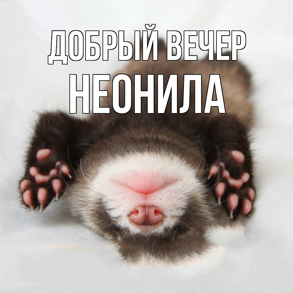 Открытка  с именем. Неонила, Добрый вечер  