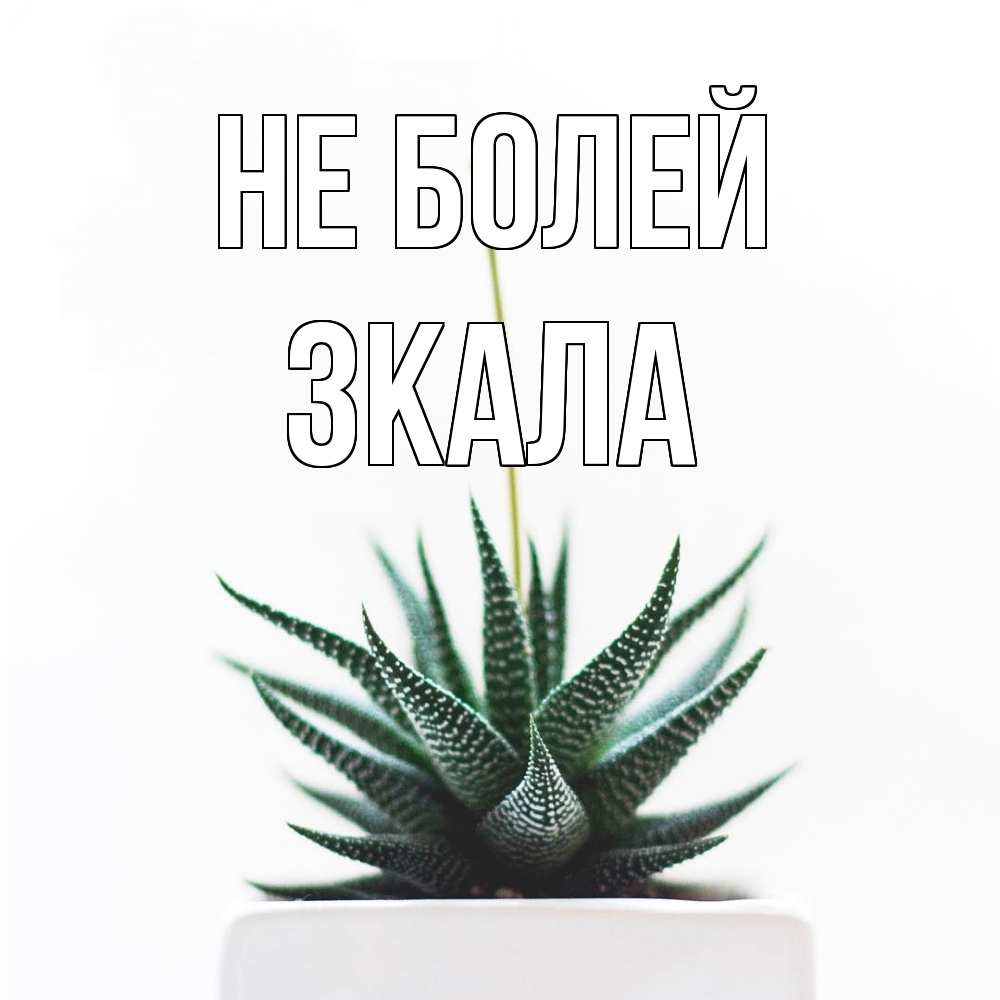 Открытка  с именем. ЗКАЛА, Не болей  