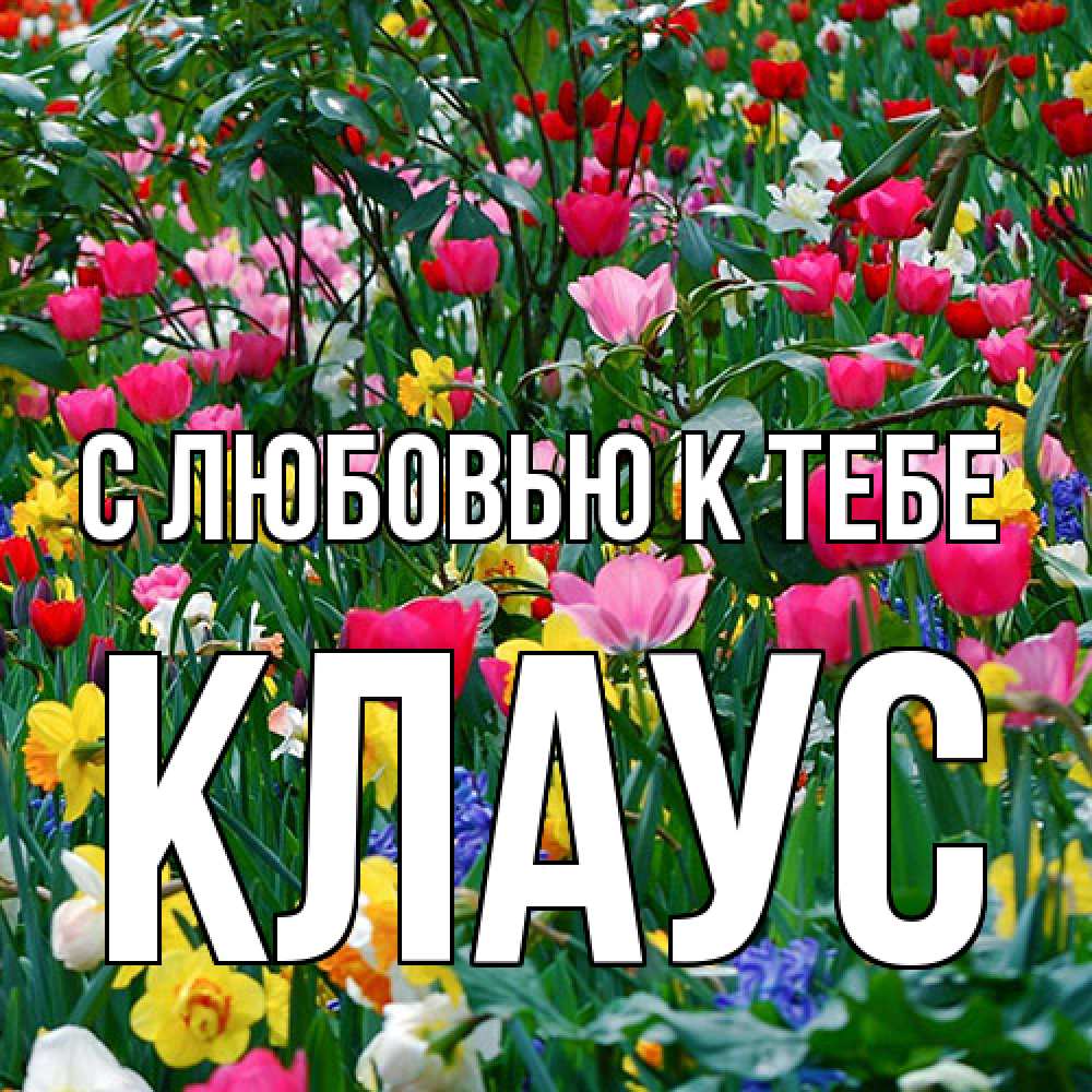 Открытка  с именем. Клаус, С любовью к тебе  