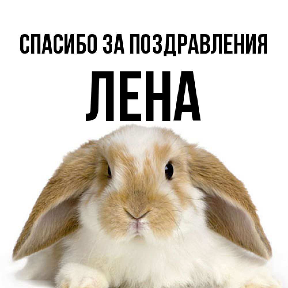 Открытка  с именем. Лена, Спасибо за поздравления  