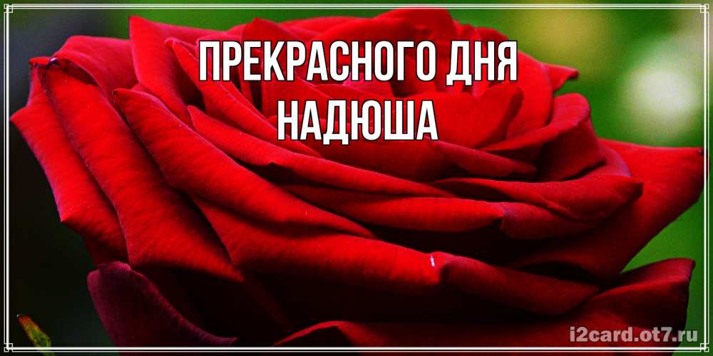 Открытка  с именем. Надюша, Прекрасного дня  
