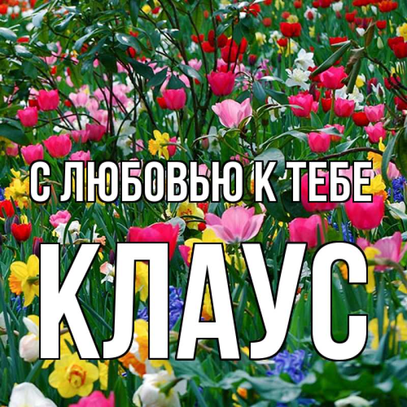 Картинка С любовью к тебе, Клаус