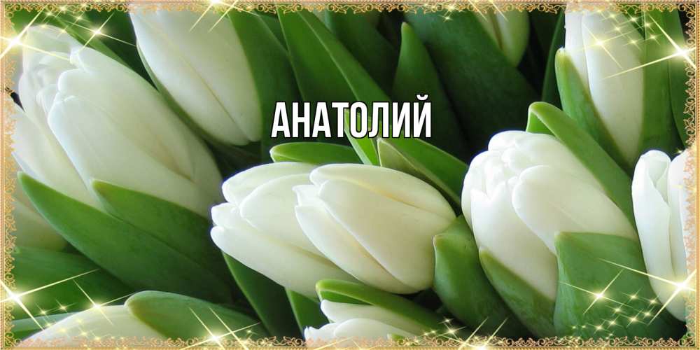 Открытка  с именем. Анатолий, Главная  