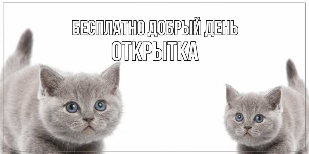 Открытка  с именем. открытка, Добрый день  