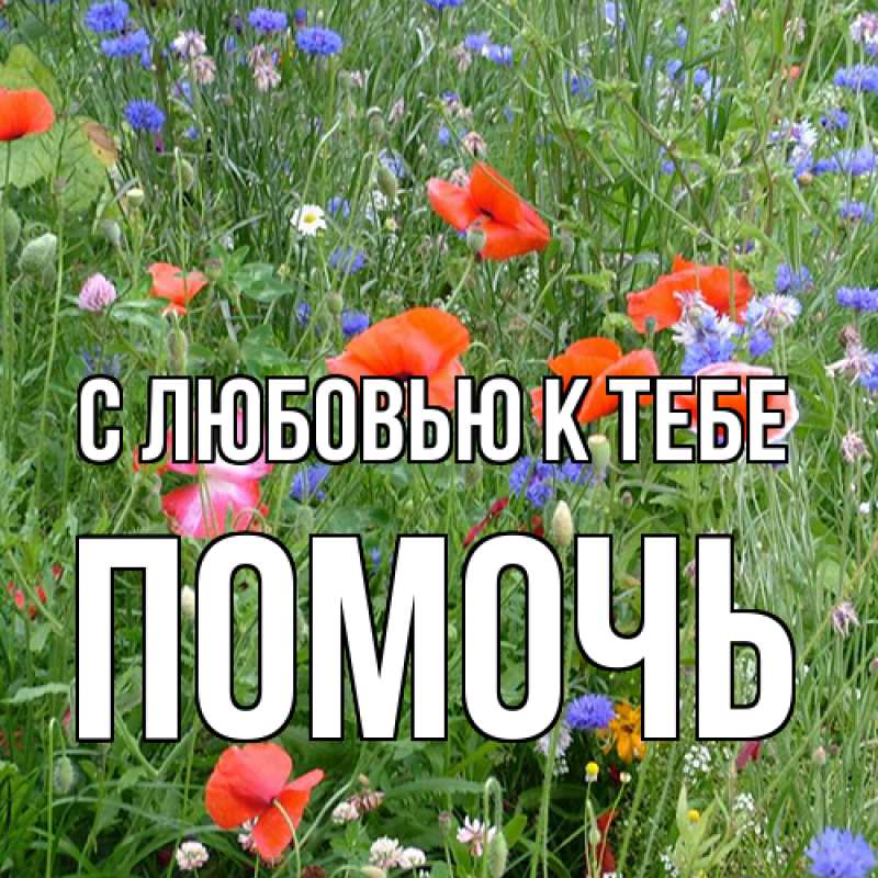 Картинка С любовью к тебе, Помочь
