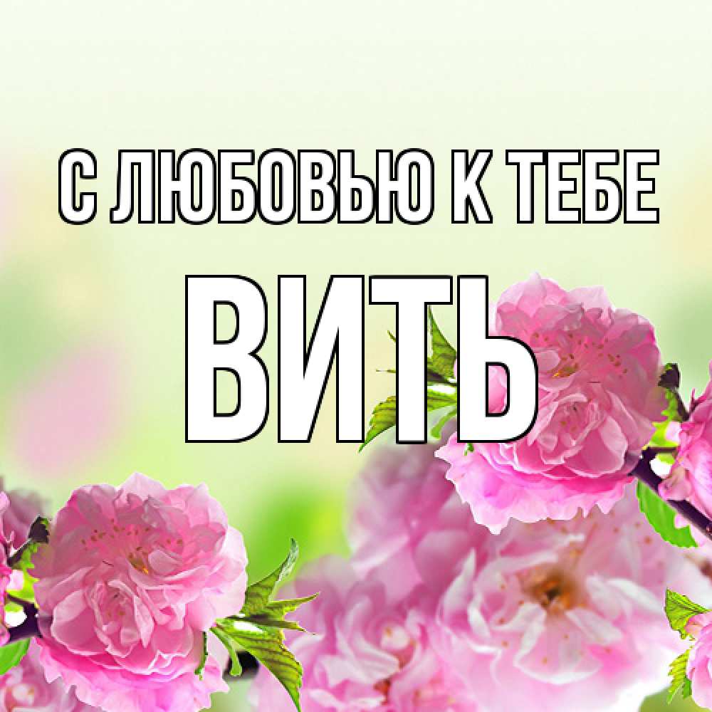 Открытка  с именем. Вить, С любовью к тебе  