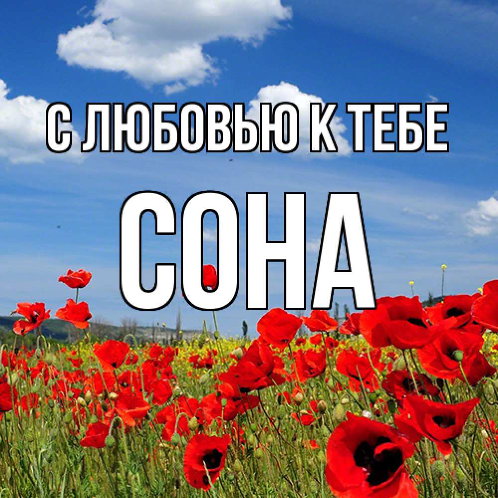 Открытка  с именем. СОНА, С любовью к тебе  