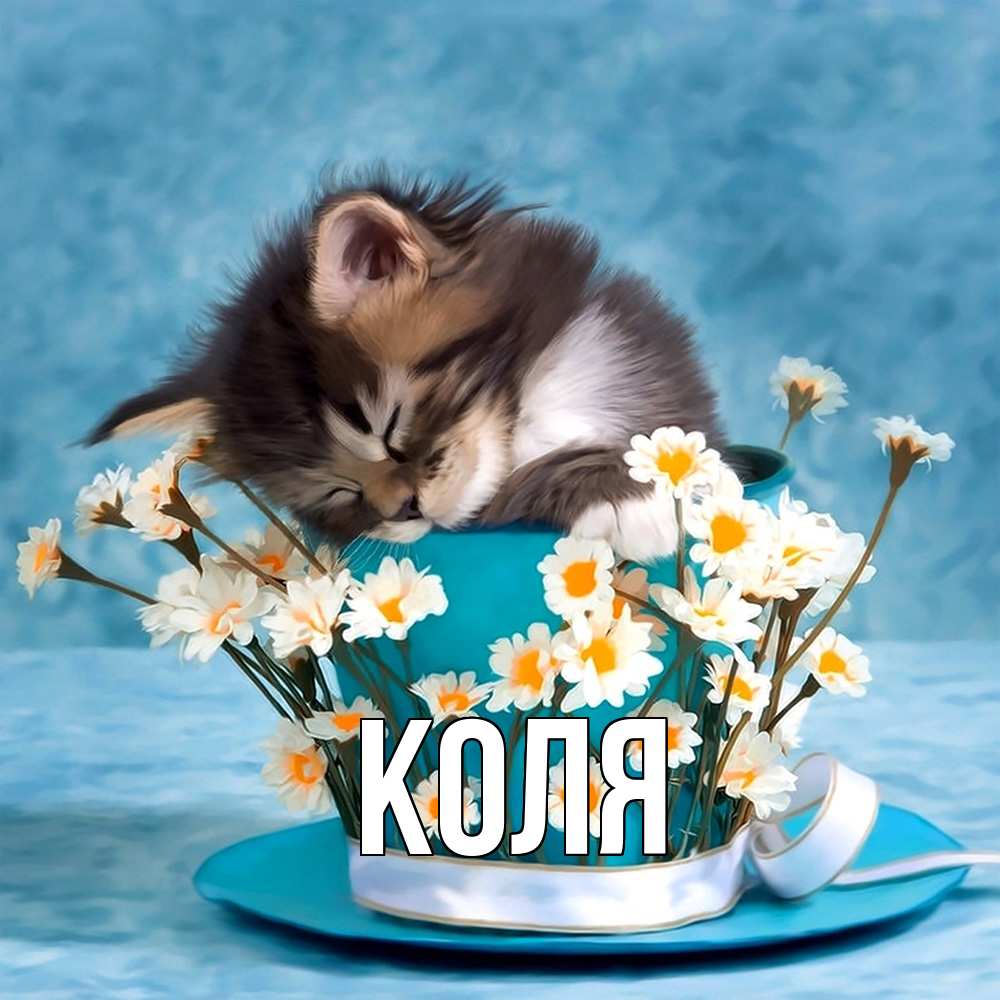Открытка  с именем. коля, Главная  