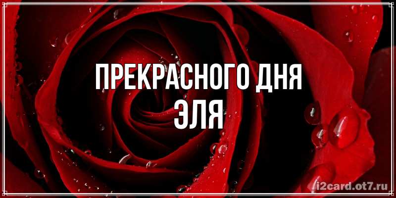 Картинка Прекрасного дня, Эля