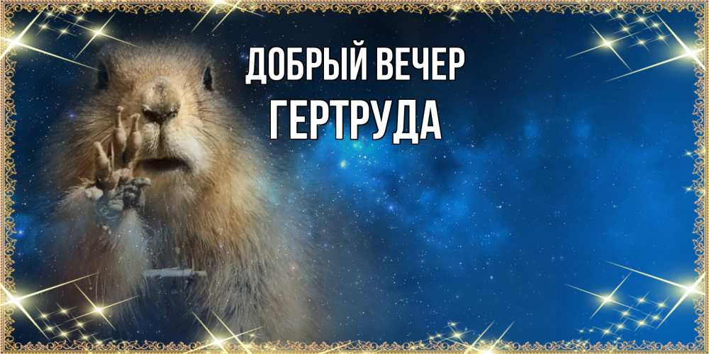 Открытка  с именем. Гертруда, Добрый вечер  