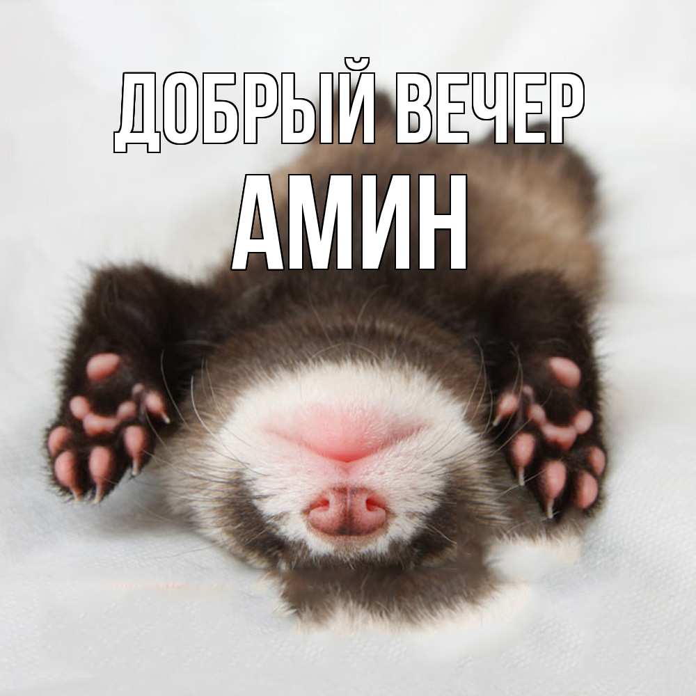 Открытка  с именем. Амин, Добрый вечер  
