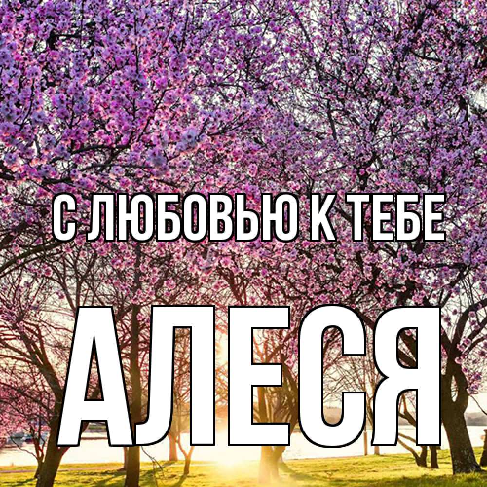Открытка  с именем. Алеся, С любовью к тебе  