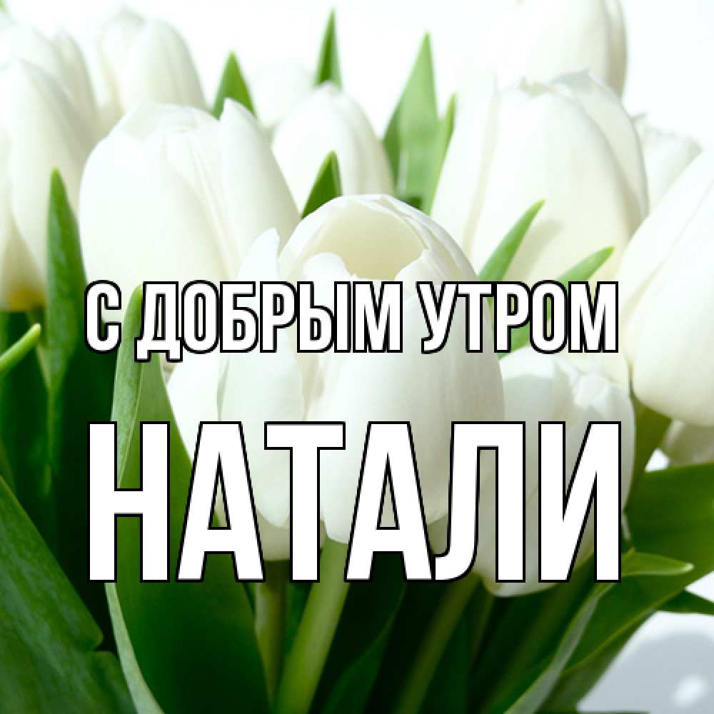 Открытка  с именем. Натали, С добрым утром  