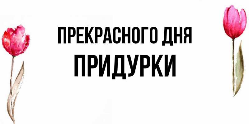 Картинка Прекрасного дня, Придурки