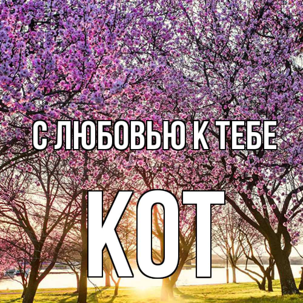 Открытка  с именем. КОТ, С любовью к тебе  