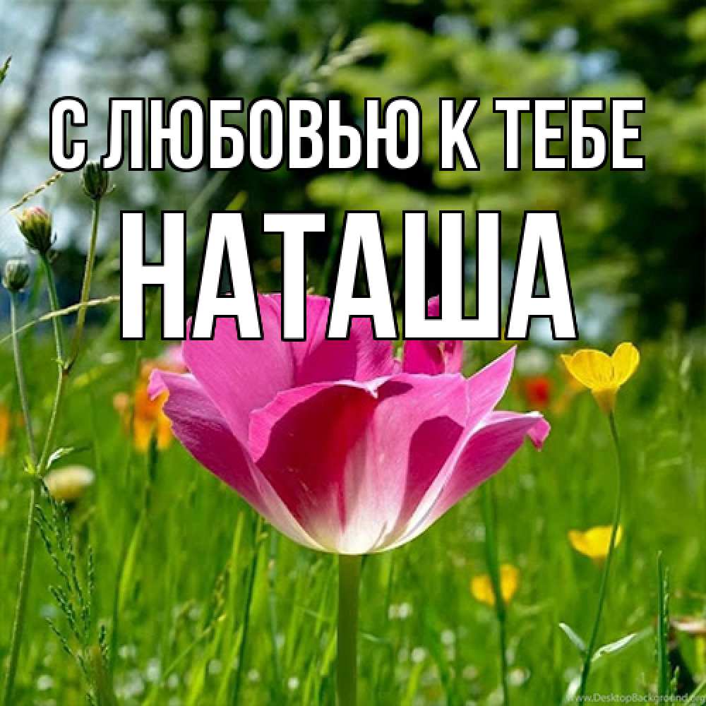 Открытка  с именем. Наташа, С любовью к тебе  