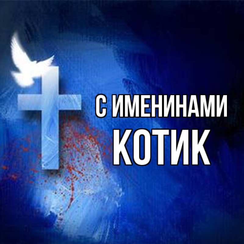 Открытка с именем, котик, С именинами