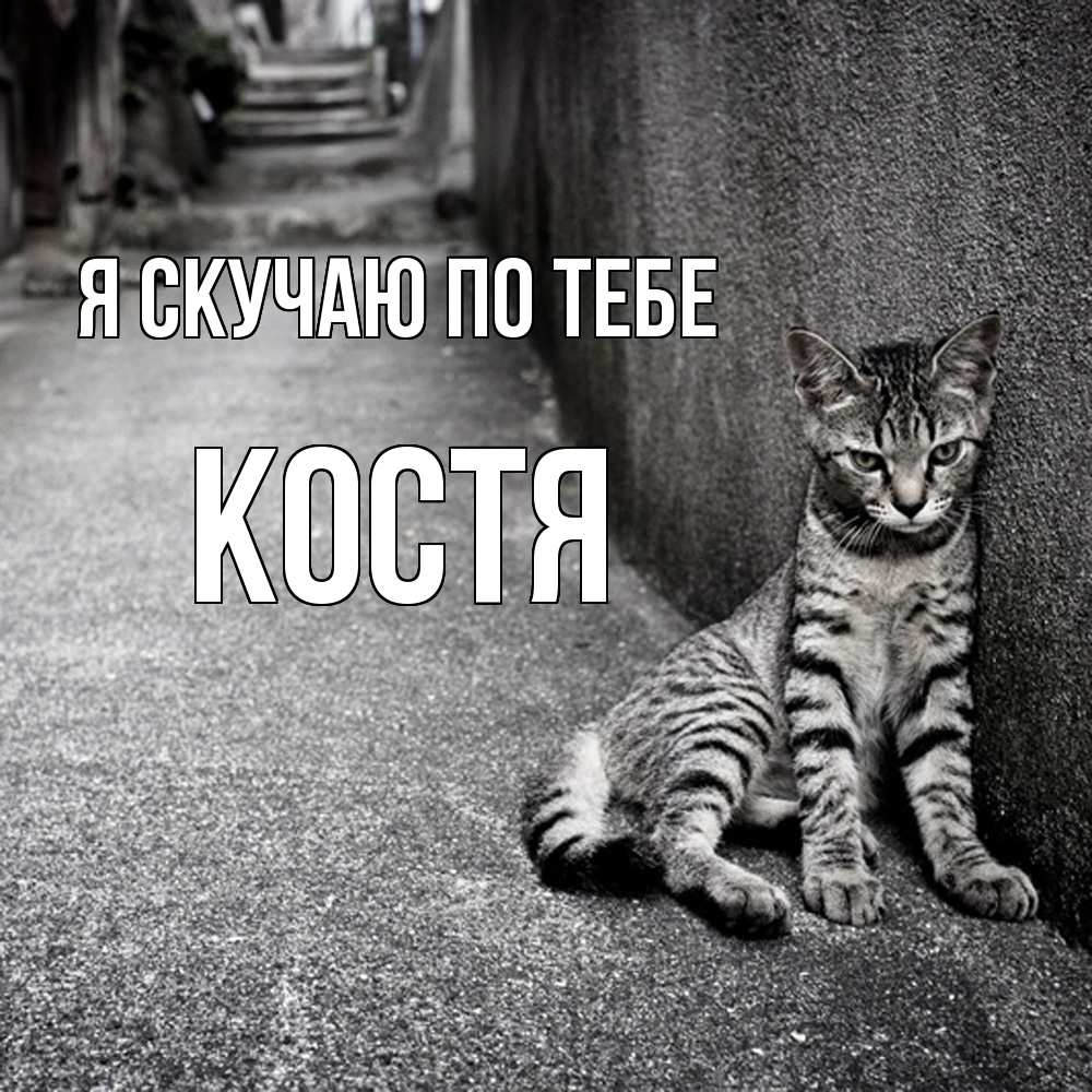 Открытка  с именем. Костя, Я скучаю по тебе  