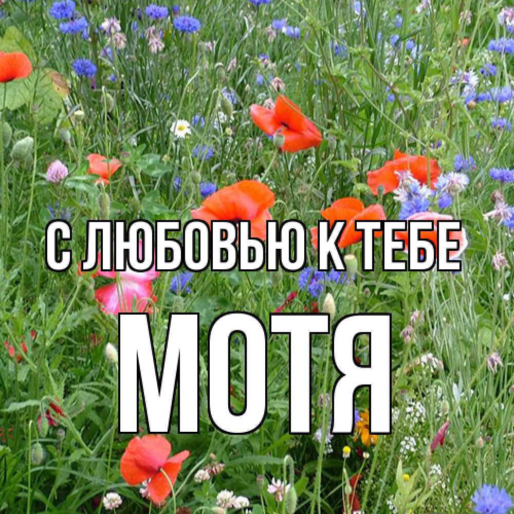 Открытка  с именем. Мотя, С любовью к тебе  