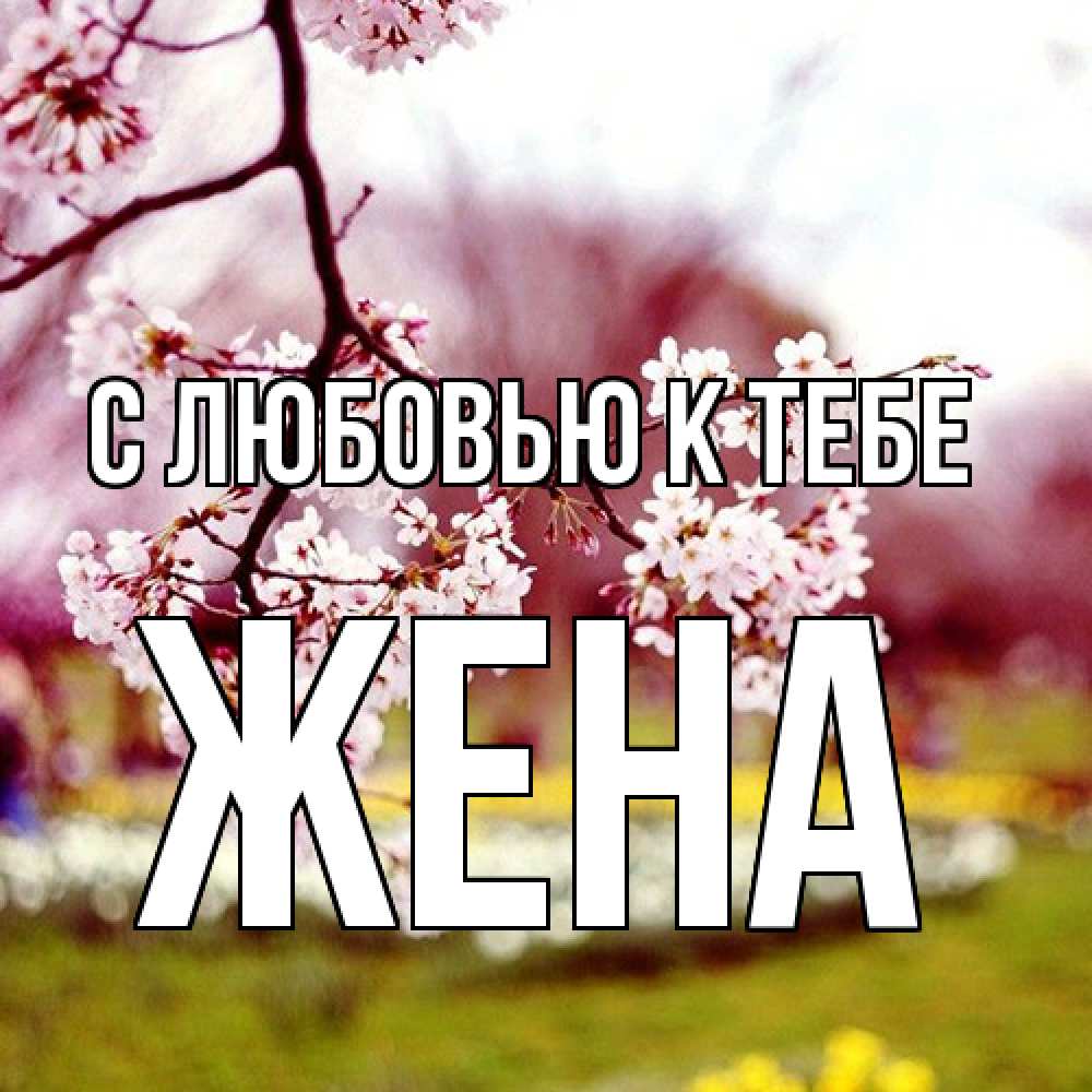 Открытка  с именем. Жена, С любовью к тебе  