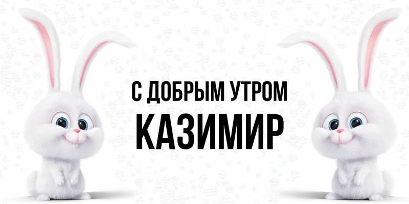 Картинка С добрым утром, Казимир