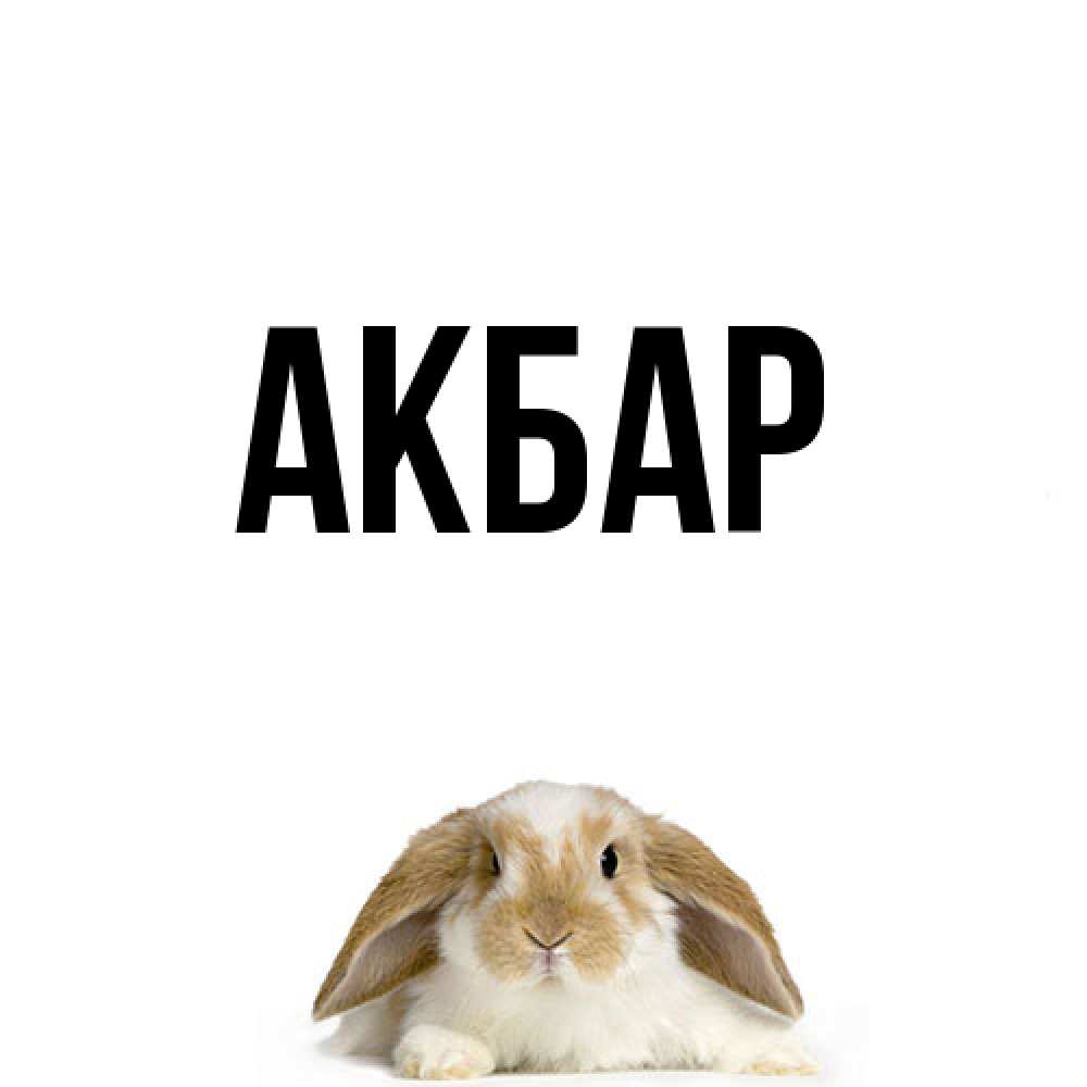 Открытка  с именем. Акбар, Главная  