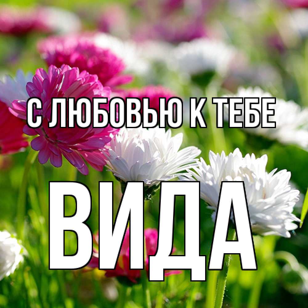 Открытка  с именем. Вида, С любовью к тебе  