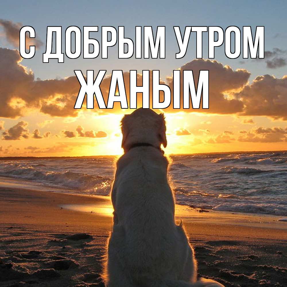 Открытка  с именем. Жаным, С добрым утром  