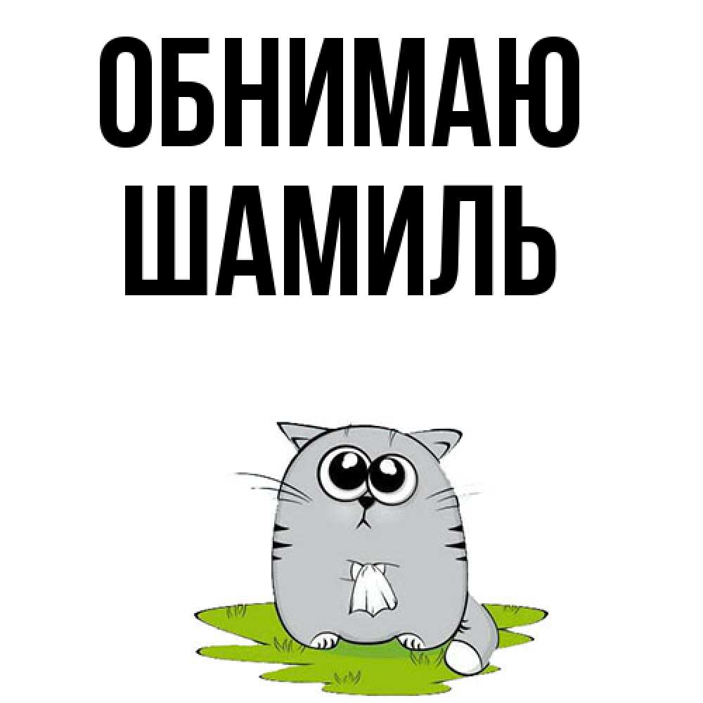 Открытка  с именем. Шамиль, Обнимаю  