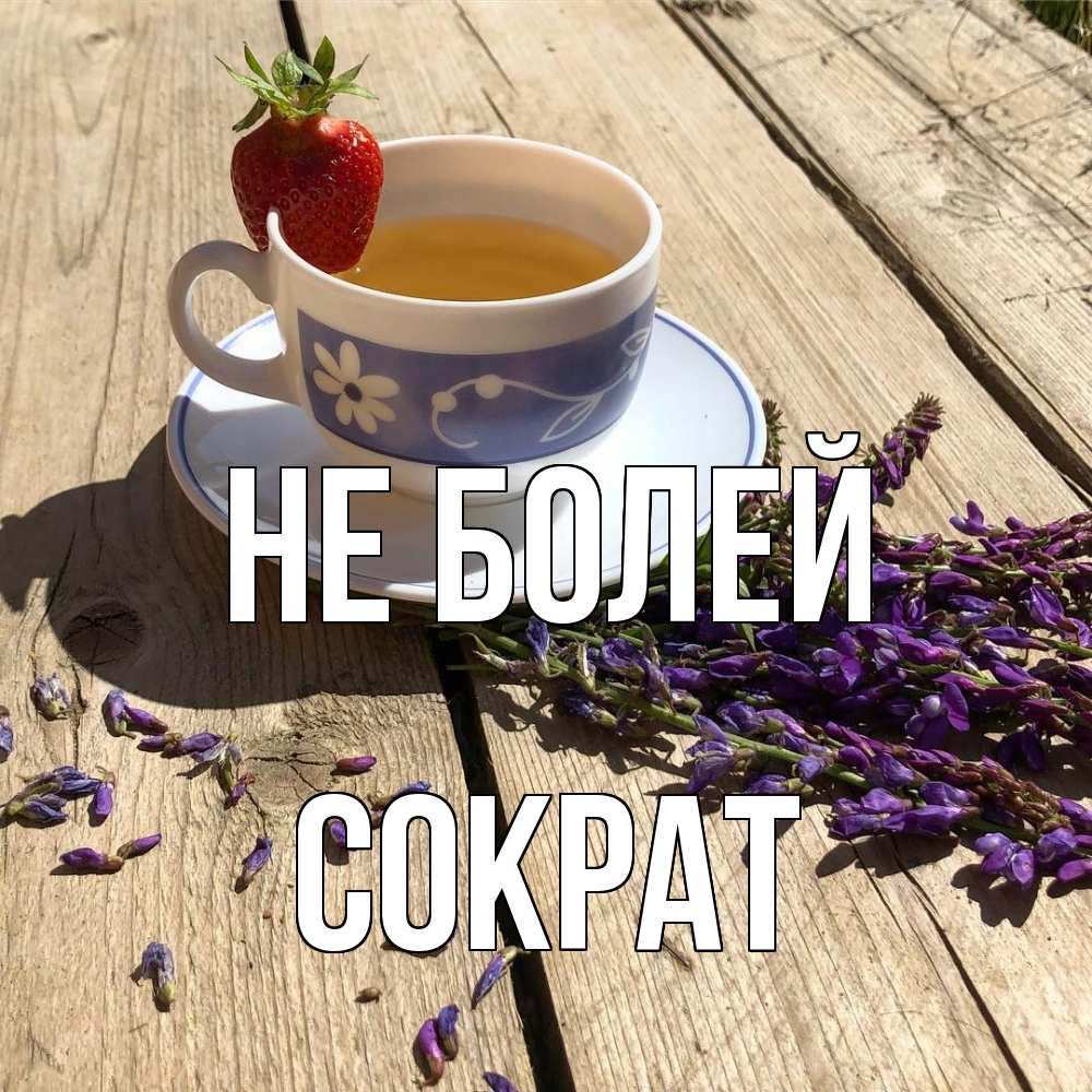 Открытка  с именем. Сократ, Не болей  