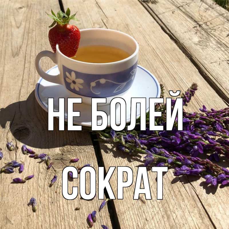 Картинка Не болей, Сократ
