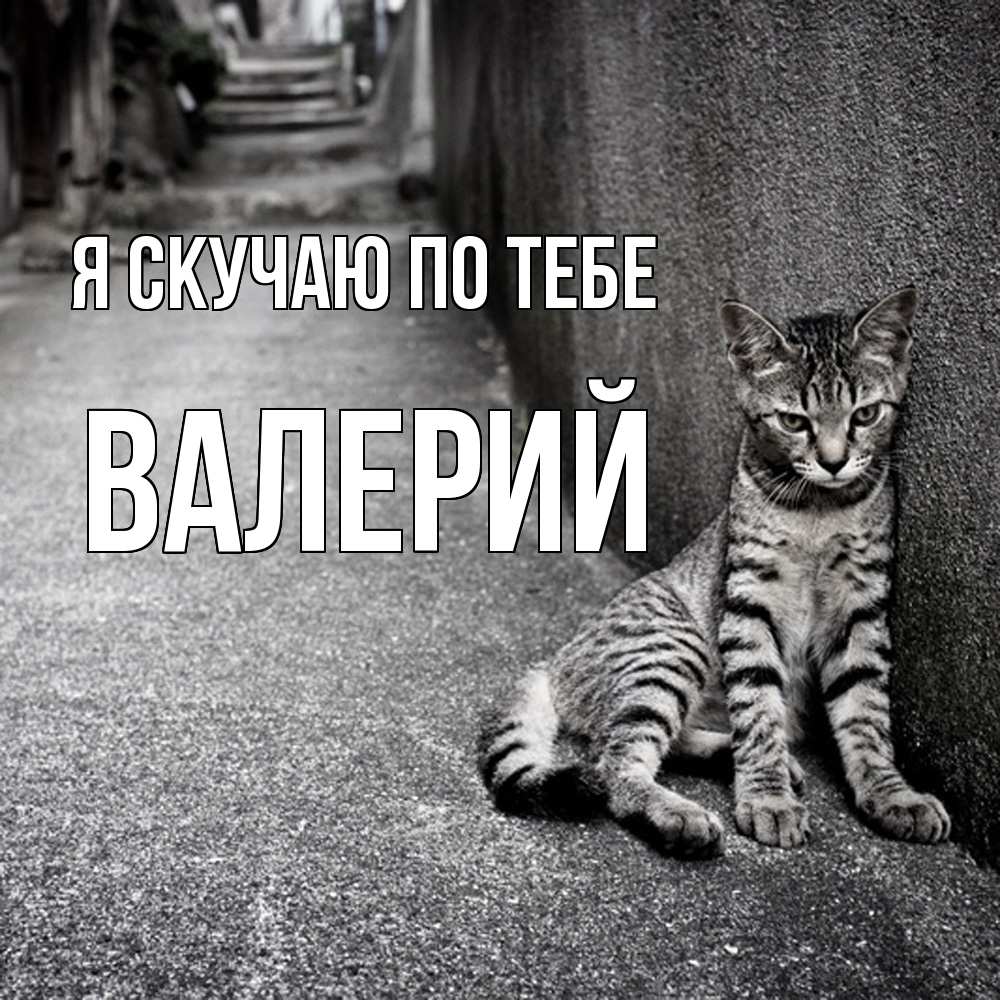 Открытка  с именем. Валерий, Я скучаю по тебе  